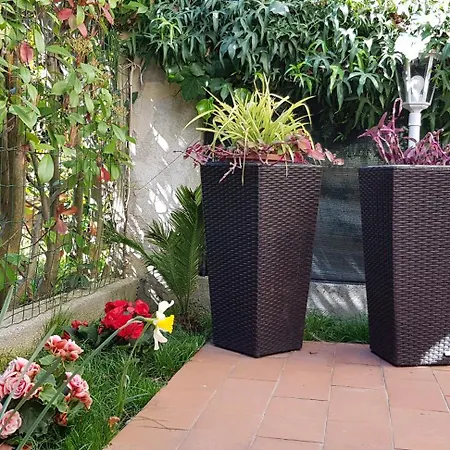 Casa de hóspedes Casale Cisanello